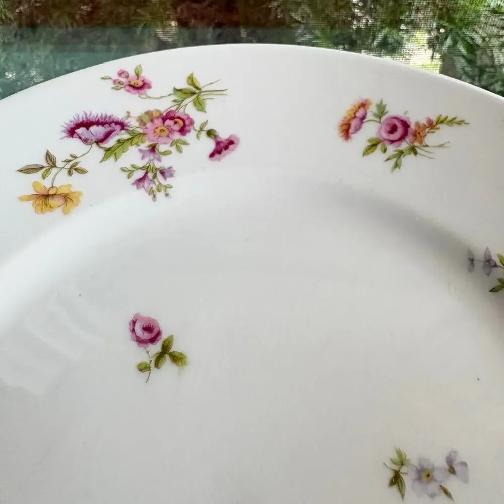 Bernardaud & Co Limoges very 1900
